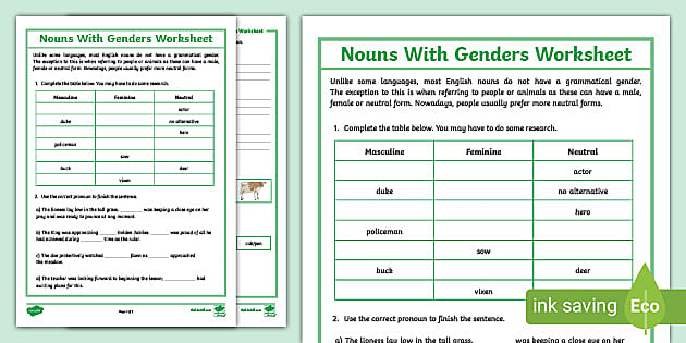 Gendered Nouns Worksheet CfE Second Level teacher Made 