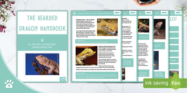 The Ultimate Bearded Dragon Handbook - Pet Care Guide - Pets