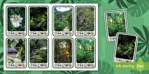 Jungle Story Setting Photo Prompt Cards - Twinkl