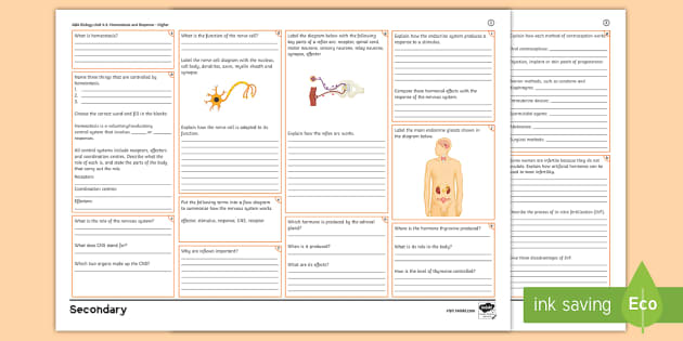 Aqa Biology Combined Unit 5 Homeostasis And Response Higher Revision