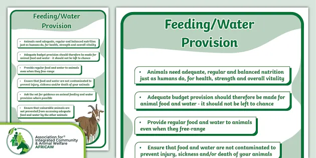 FREE! - Food And Water Provision Poster - Caring For Livestock