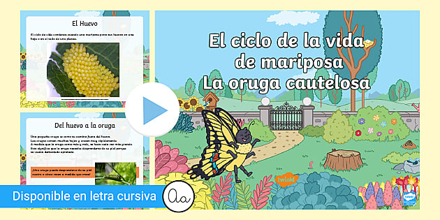 PowerPoint: El ciclo de la vida de una mariposa - Twinkl