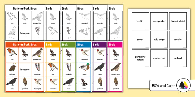 Birds Bingo 7x7 (100 Pages Call Sheet) Made By Teachers, 59% OFF