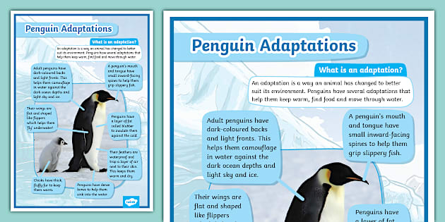 Penguin Adaptations Poster - KS2 - Science - Twinkl