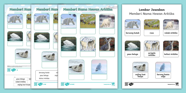 Hewan Arktika Kegiatan Terdiferensiasi untuk TK PAUD