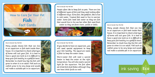 Aquarium Adventure :: Fish Keeping Tip Sheets