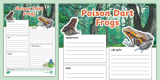 Poison Dart Frog Fact File Template (Hecho por educadores)