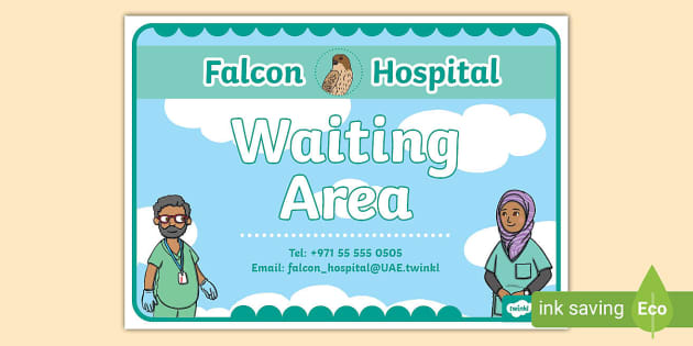 Falcon Hospital Role Play Waiting Area (teacher made)