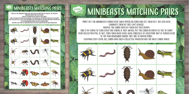 Minibeasts Matching Pairs Game Printable | Twinkl Party