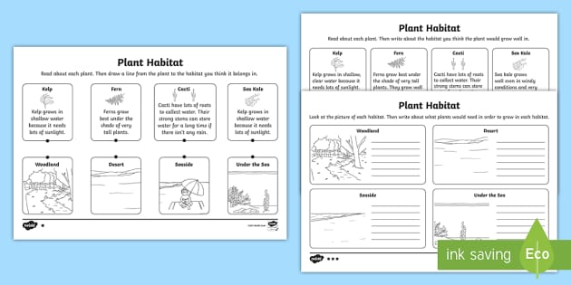 plant habitat worksheet bundle teacher made