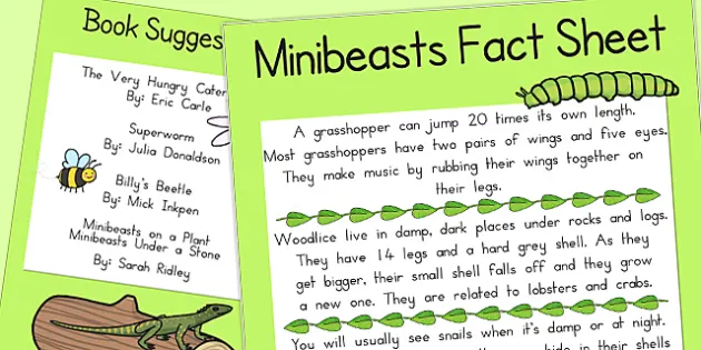 Minibeasts Insect Reading Comprehension Worksheets Pdf