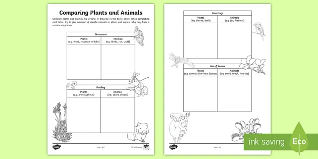 Comparing Plants and Animals Worksheet — Ages 7–11