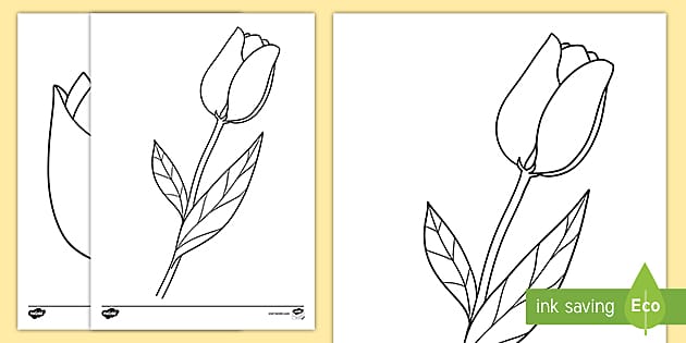 Learn how to draw spring tulips! - Art for Kids Hub