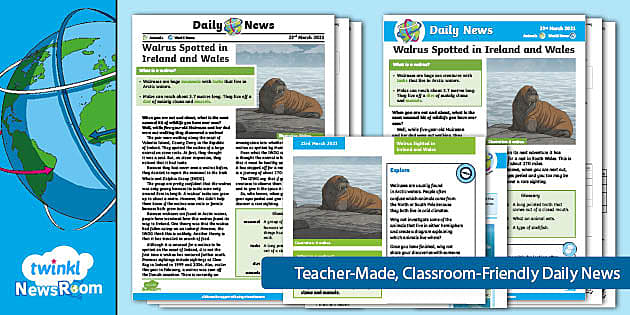 Walrus Reading Comprehension | Twinkl NewsRoom Resources
