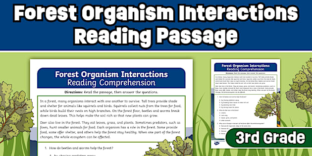 Forest Organism Interactions Reading Passage Comprehension