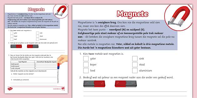 Magnete Notas En Aktiwiteit (teacher Made) - Twinkl