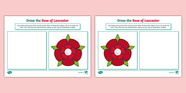 Draw the Rose of Lancaster Worksheet - Twinkl