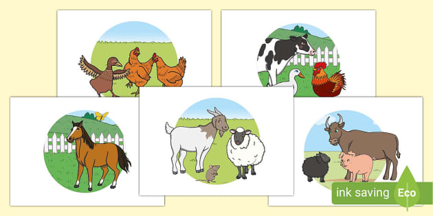 Farm Animals Bedroom Decoration Display Posters - Twinkl