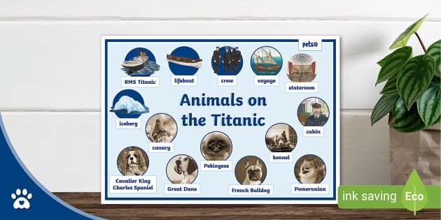T Pets 1648823784 Animals On The Titanic Word Mat Ver 1 