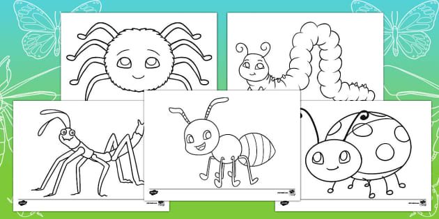 Partes de un insecto para colorear