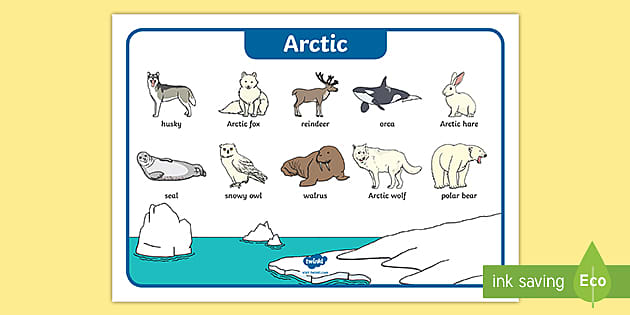Arctic Animals Word Mat (teacher made) - Twinkl