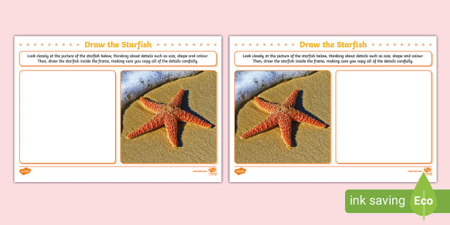 Draw the Starfish Art Activity,Starfish,Star Fish - Twinkl