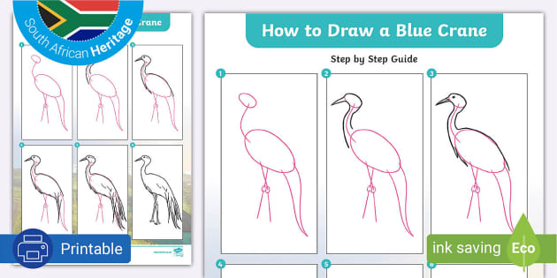 Crane Bird Drawing & Sketches for Kids - Kids Art & Craft