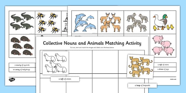 Collective Nouns Worksheet - Groups of Animals - Twinkl
