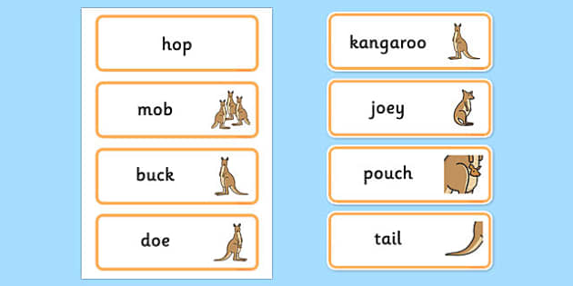 Kangaroo Life Cycle Word Mat - Primary Resource - Twinkl