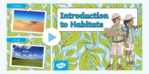 Introduction to Habitats PowerPoint | Animals and Habitats