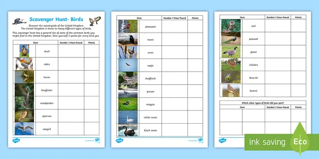 nature trail worksheet for kids nature walk teacher made