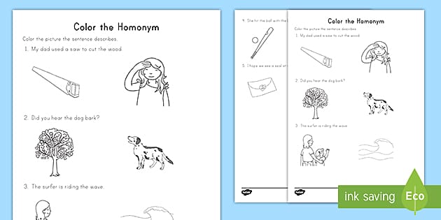 color the correct homograph worksheet teacher made