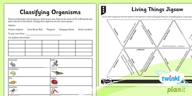 Science: Living Things And Their Habitats Year 6 Home Learning Tasks