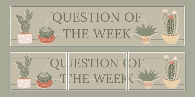 Succulents-Themed Question of the Week Display Banner