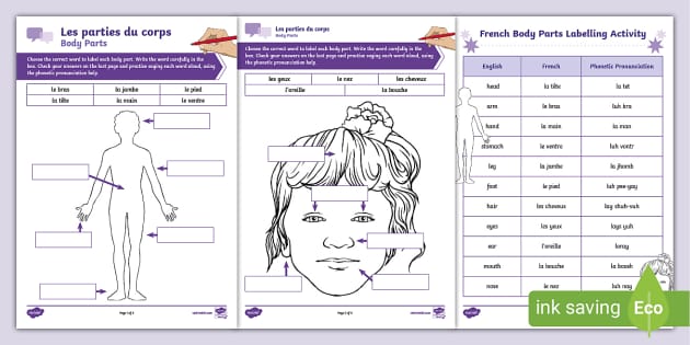French Body Parts Labelling Activity Sheet Twinkl