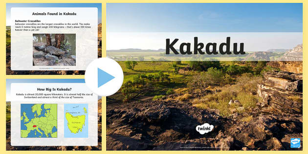 can you take dogs into kakadu