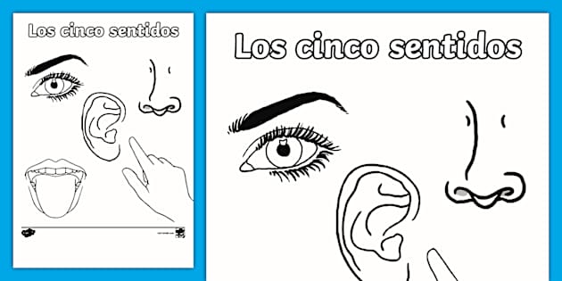 Imágenes de los sentidos para colorear | Twinkl - Twinkl im-genes-de-los-sentidos-para-colorear-twinkl-twinkl