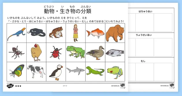 動物 生き物の分類プリント Twinkl Jp