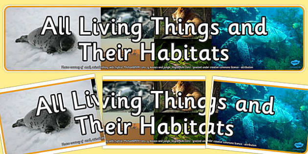 All Living Things and Their Habitats Photo Display Banner - habitats