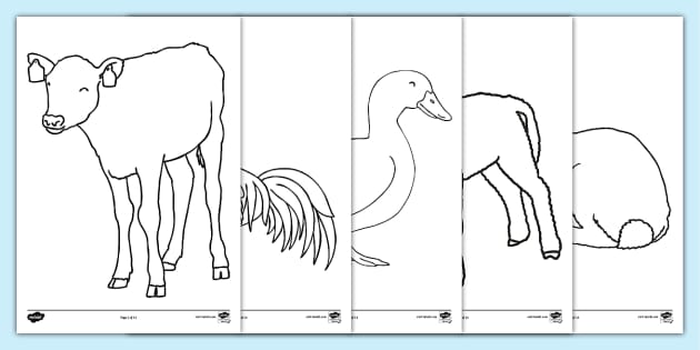 Images of Farm Animals - Colouring Sheets (teacher made)