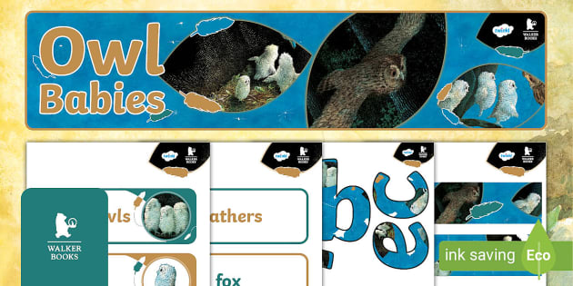 FREE! - Owl Babies: Display Pack (teacher made) - Twinkl