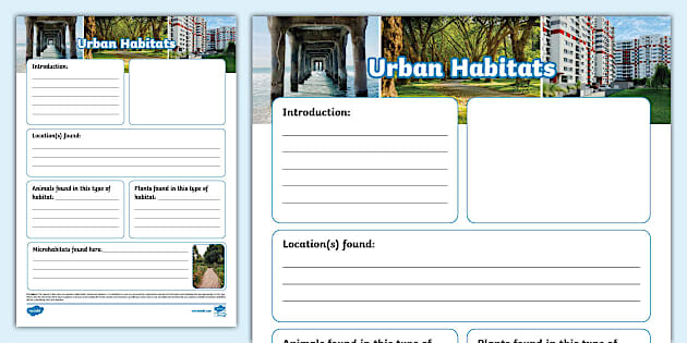 Urban Habitats Non-Chronological Report Template - Twinkl