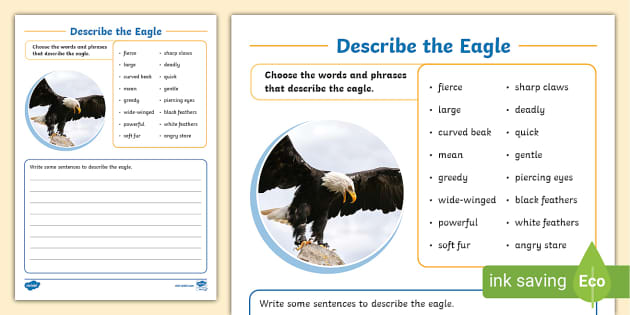 Describe The Eagle Writing Worksheet
