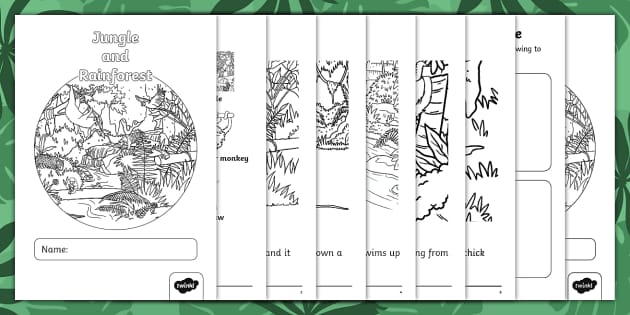 Read and Colour Non-Fiction Booklet: Jungle and Rainforest