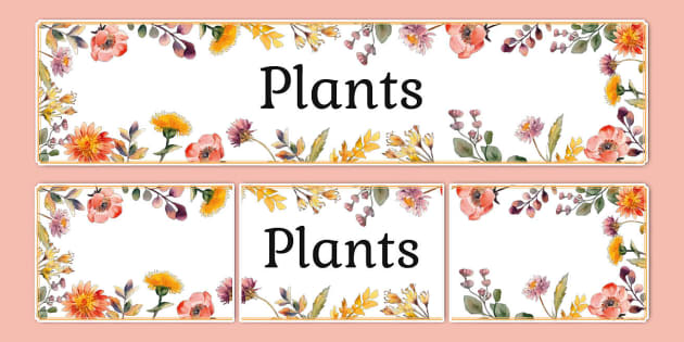 Wildflower Botanical Themed Plants Display Banner - Twinkl