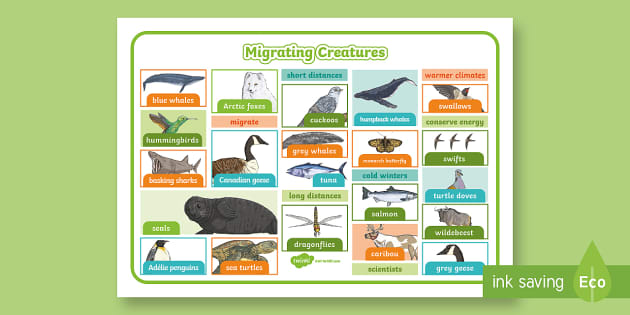 Migrating Creatures Word Mat (teacher made) - Twinkl