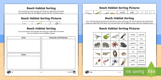 ks1 beach habitat sorting worksheets