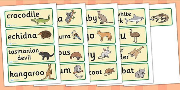 Australian Animal Flash Cards | Foundation to Year 2