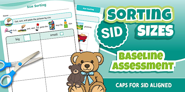 Foundation Phase Problem Solving Size Sorting Baseline Assessment