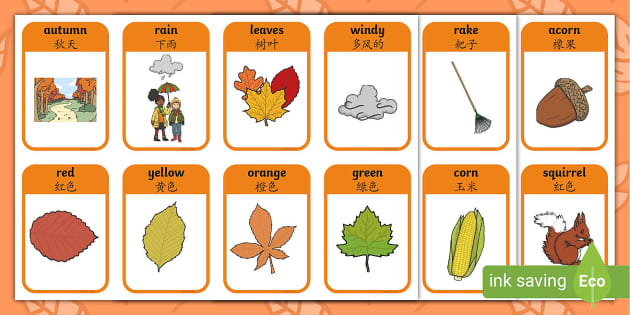 Autumn Flash Cards - English/Mandarin Chinese (teacher made)